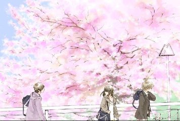 四叶草研究所免费入口